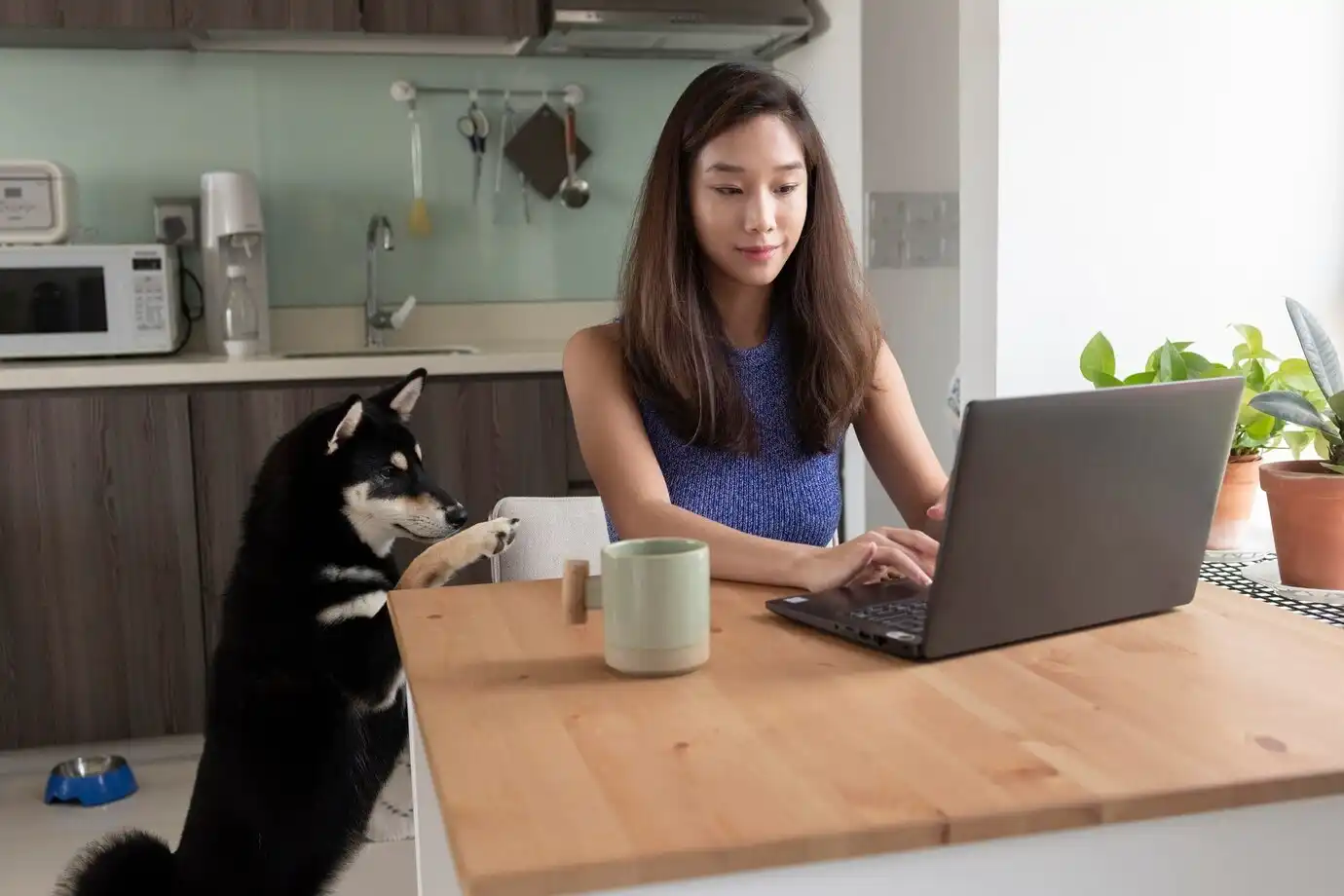 Remote Work and Hybrid Models: Navigating the New Normal of Work ...